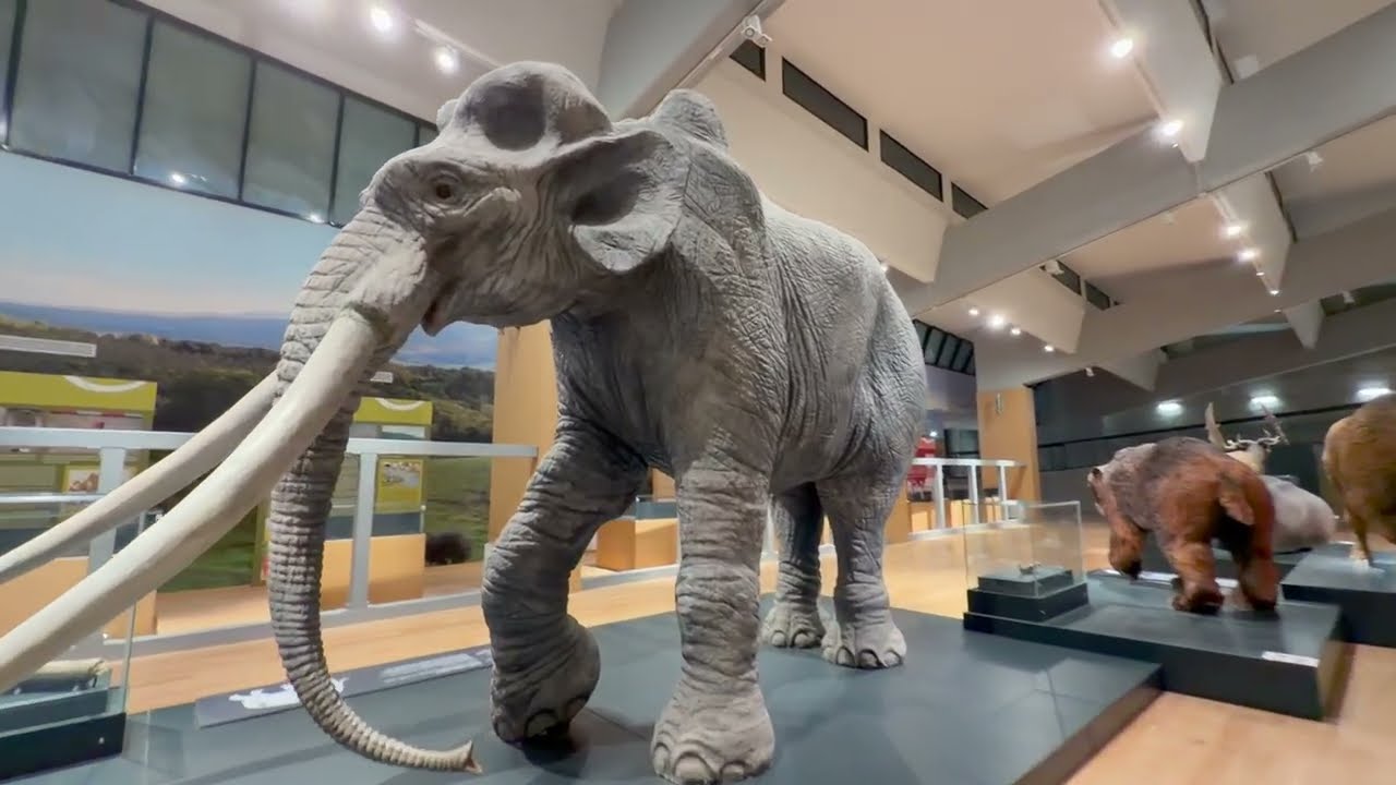 Il museo del Paleolitico di Isernia apre una finestra sulla preistoria - 11/03/2026