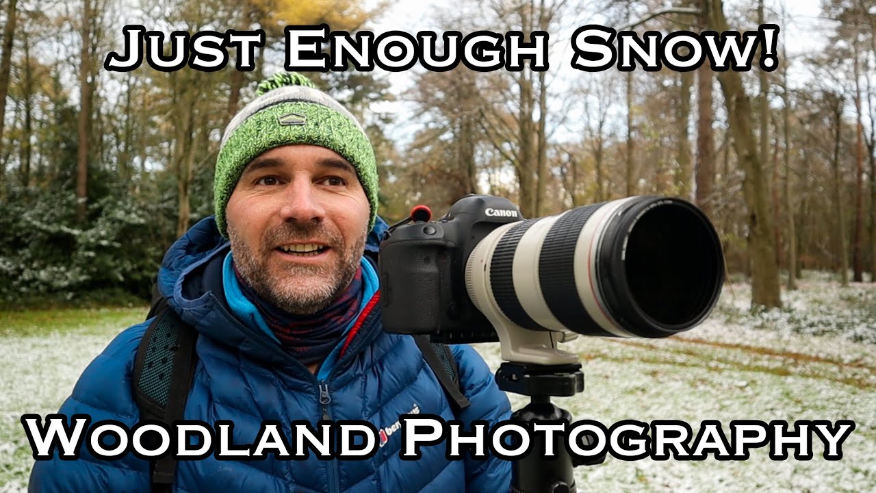 Snow! Not a lot but enough for a photography visit to my local woodland