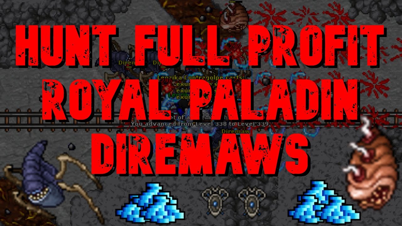 Tibia | Profitando 1.1kk por HORA!? Royal Paladin (290+) solo hunt Diremaw North fazendo 2.7kkXP hr