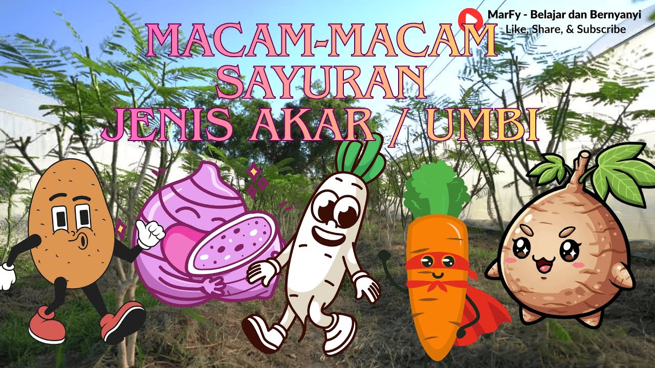 Mengenal Sayur-sayuran | Sayuran Jenis Akar / Umbi | Bahasa Indonesia & Inggris | Video Edukasi Anak