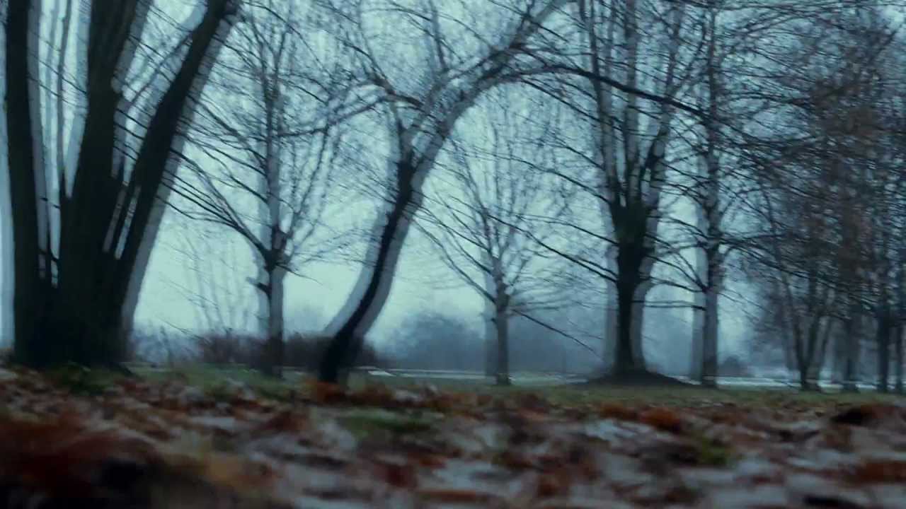 UNIKΛT - WYBACZ (OFFICIAL VIDEO)