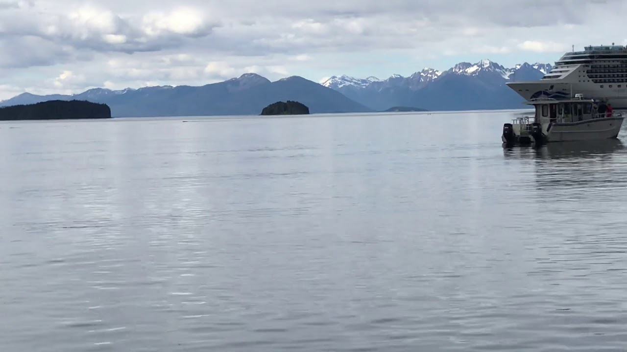 Hoonah Whale Tours 6/1/18