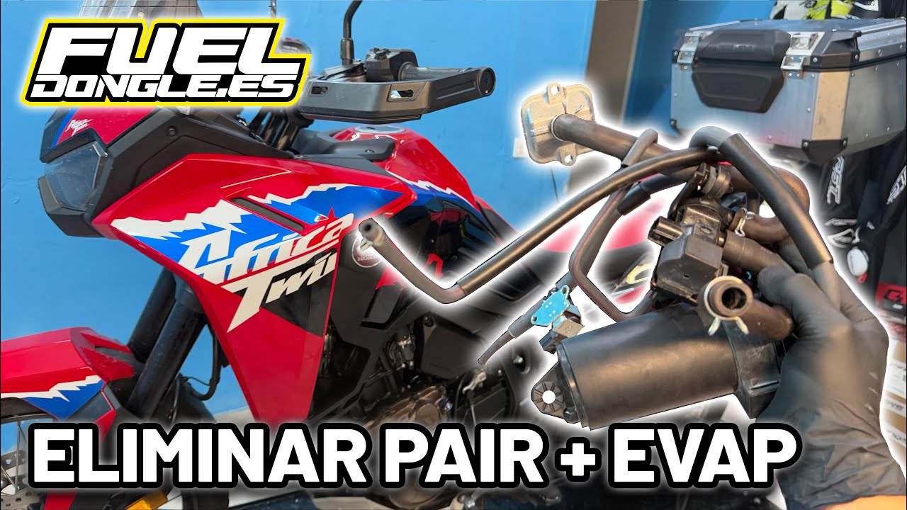 ELIMINAR PAIR + EVAP - HONDA CRF 1100 AFRICA TWIN