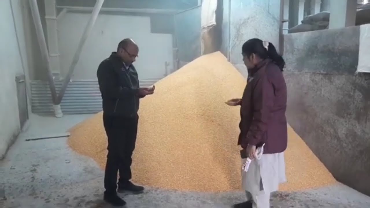 Food safety department inspects dal mills 