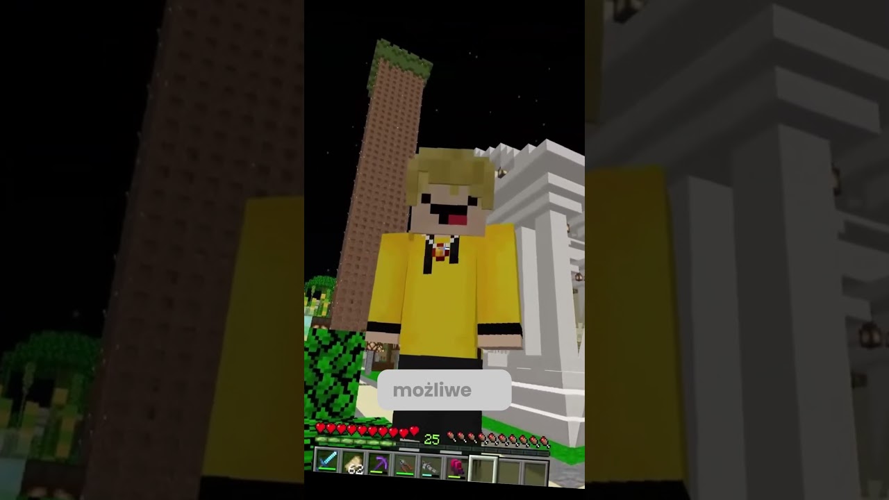 Rodzina Noobka porwana? Najlepsze Teorie Widz&oacute;w o Wojanie i Palionie w Minecraft