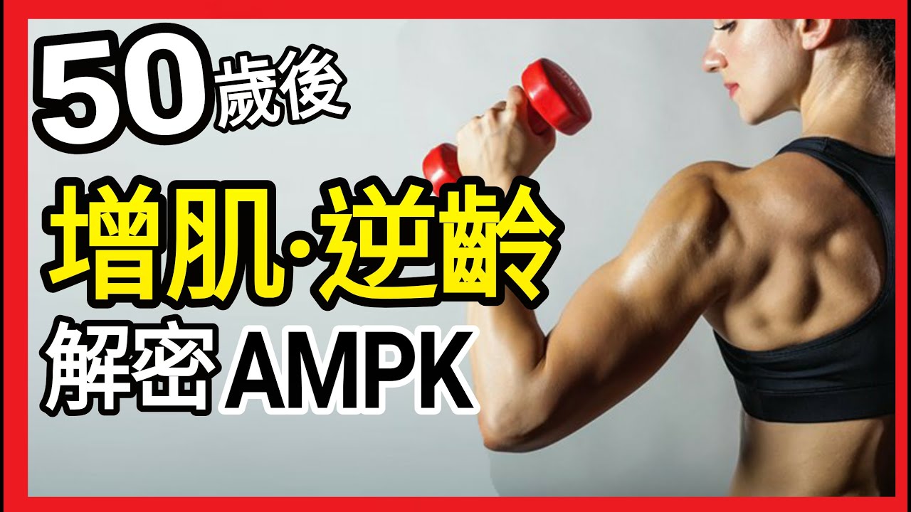50歲後增肌妙法 啟動逆齡密碼AMPK 減脂增肌健康長壽法則