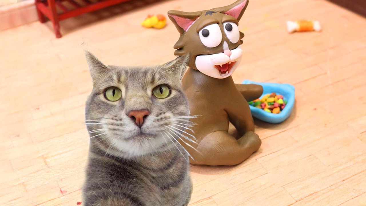 Funniest Cat Compilation December | Funny Ginger Parody