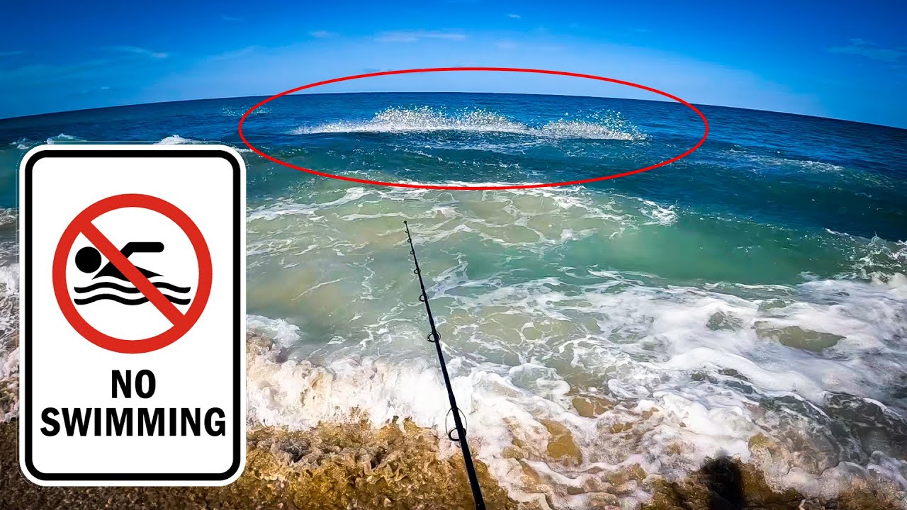If you see this GET OUT OF THE WATER - Beach Fishing