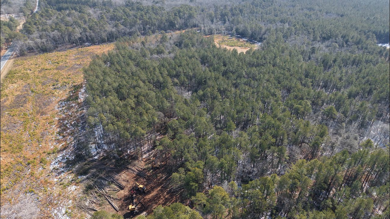 New woods 27 acres of Thinning and Clear cut 2/9/26~2/13/26