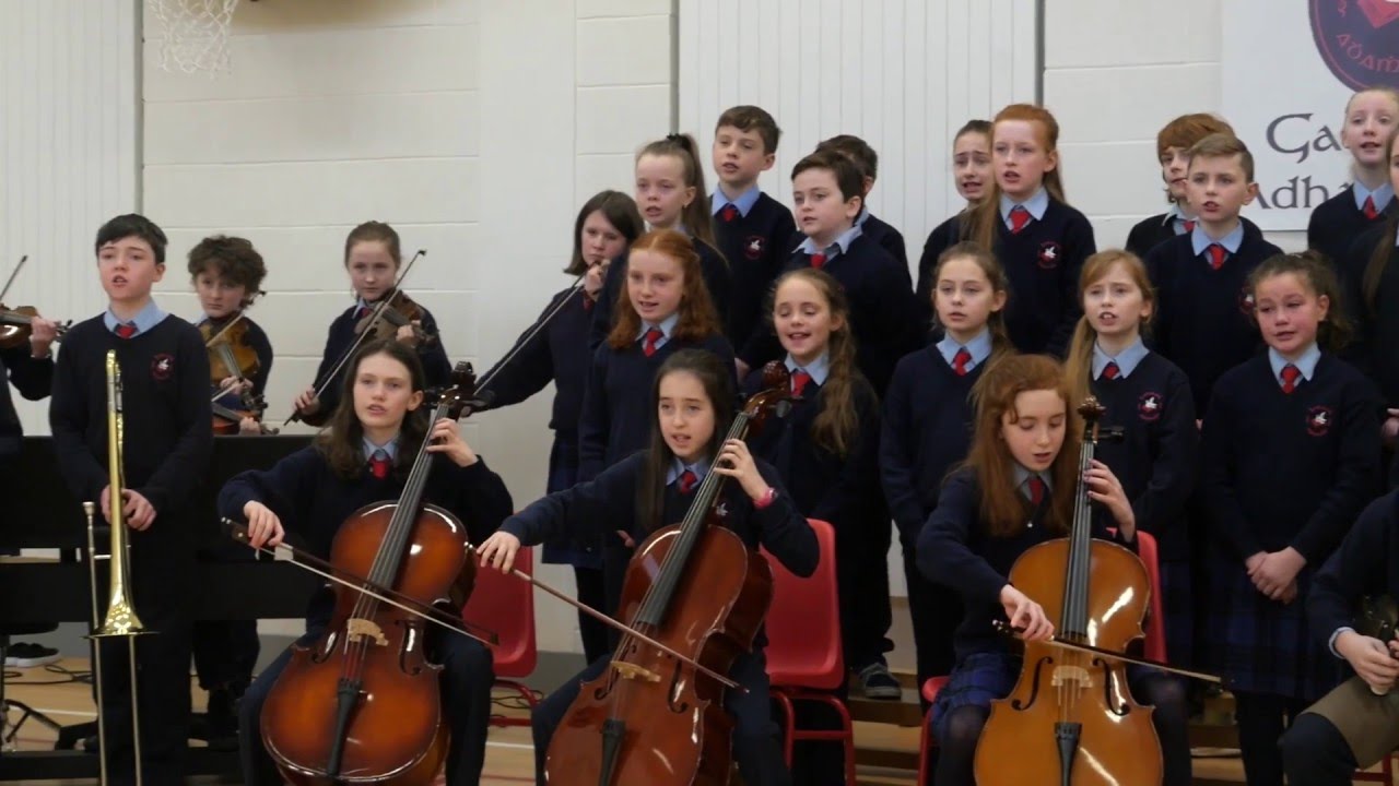 Gaelscoil Adhamhn&aacute;in, Co. Dh&uacute;n na nGall - Primary Finalist 2016