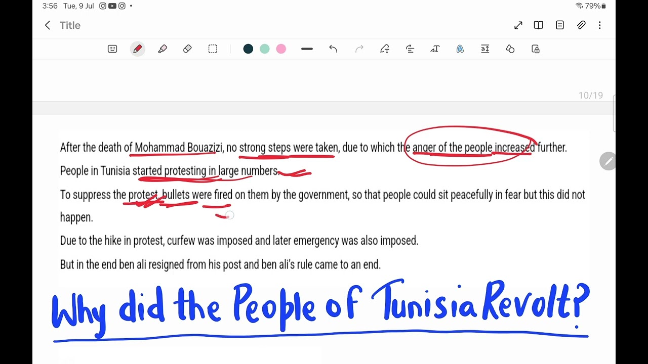 Arab spring revolution 