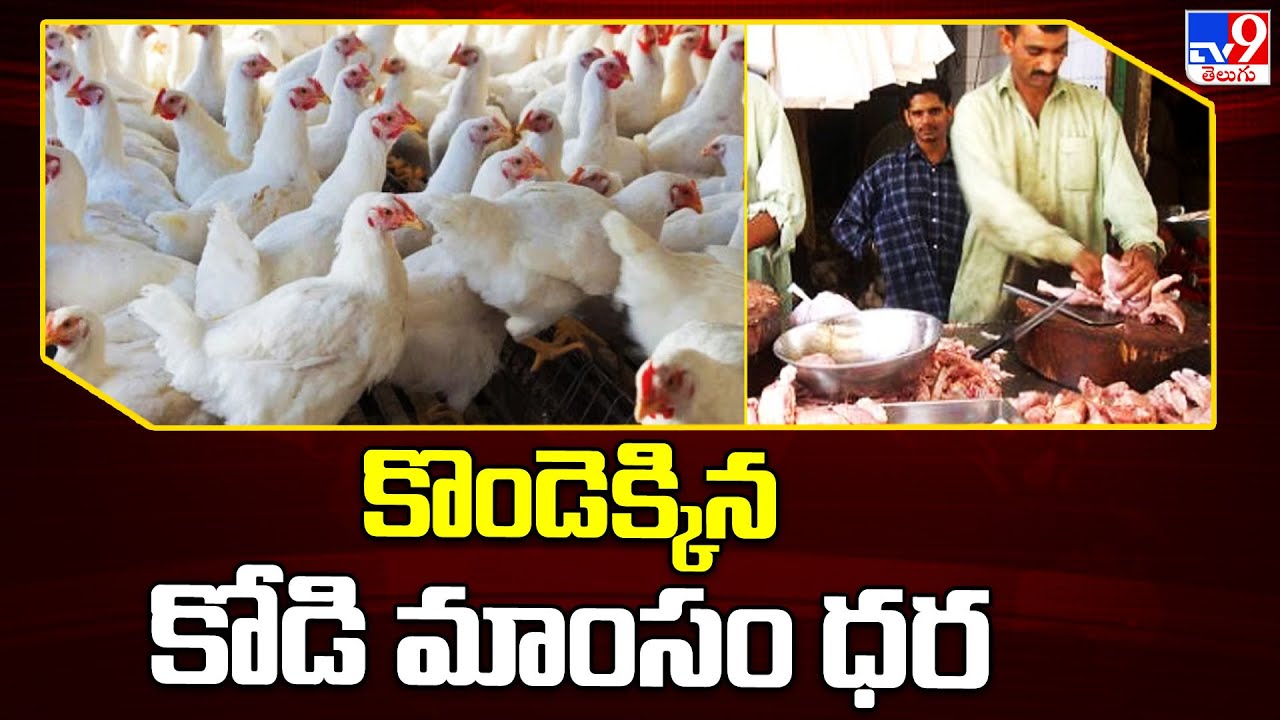 తెలుగురాష్ట్రాల్లో కొండెక్కిన కోడి మాంసం ధర | Chicken Price Hike In Telugu States - TV9