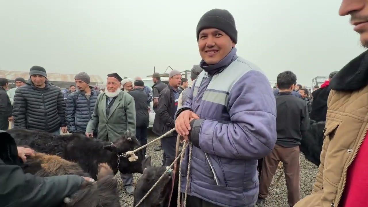 МОЛБОЗОРИ РЕГАР ШАНБЕ БОЗОР НАРХИ БУКА ВА ДИГАР МОЛХО 21 февраля 2026 г.