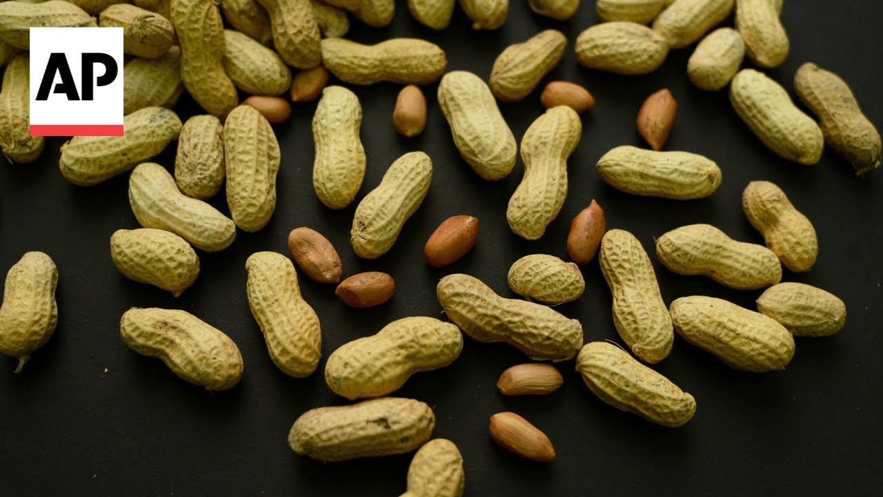 Thousands of kids avoided peanut allergies by eating peanuts as babies