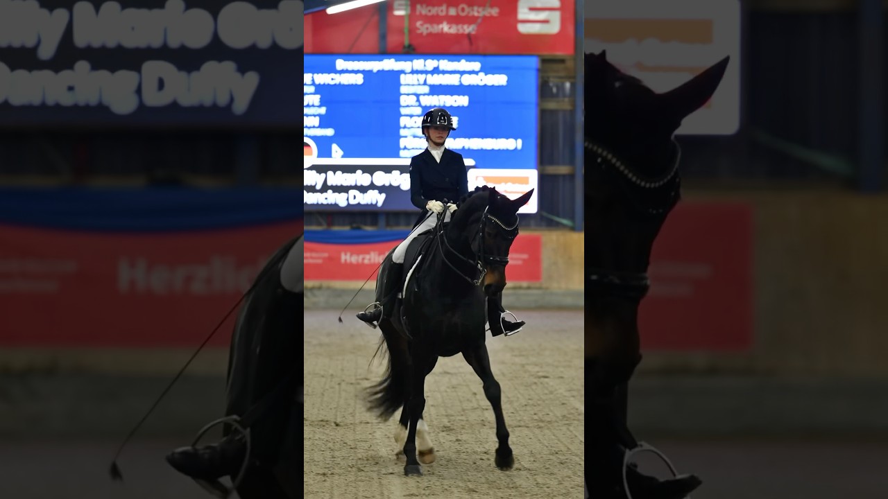 Unsere erste S-Dressur 🐴❤️🙌🏼 Wollt ihr auch noch einen kommentierten Ritt?