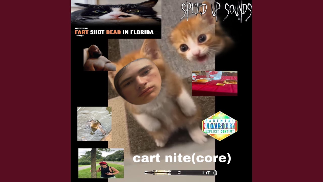 cartnite (not freestyle) (Sped Up)