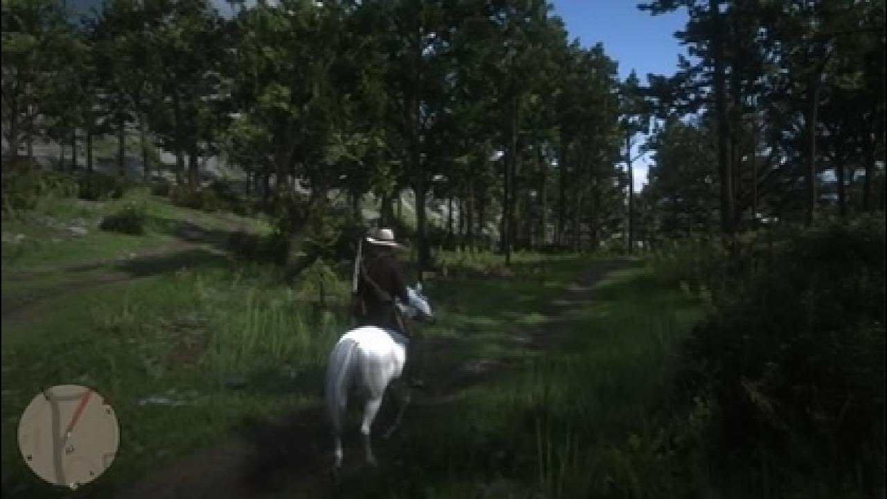RDR2 GAMEPLAY 36