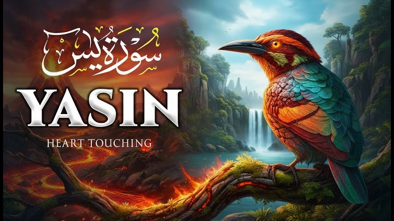 Surah Yaseen (Yasin) سورة يس | Heart Soothing Quran Recitation for Soulful Healing | Quranic Planet