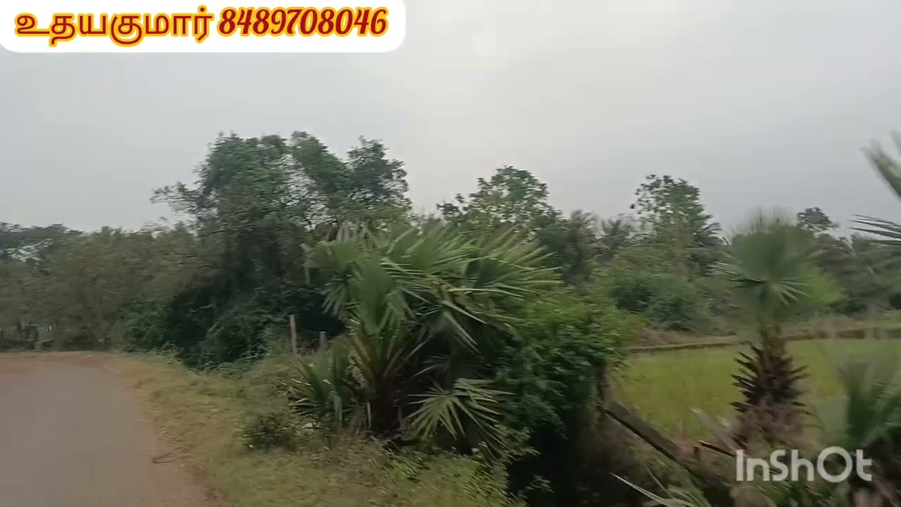 ஒரு சென்ட் 90,000 2ஏக்கர் 25 சென்ட் நெல்வாய் கூட்ரோடு 2 கிமி சித்தாமூர் மதுராந்தகம் (வ) செங்கல்பட்டு