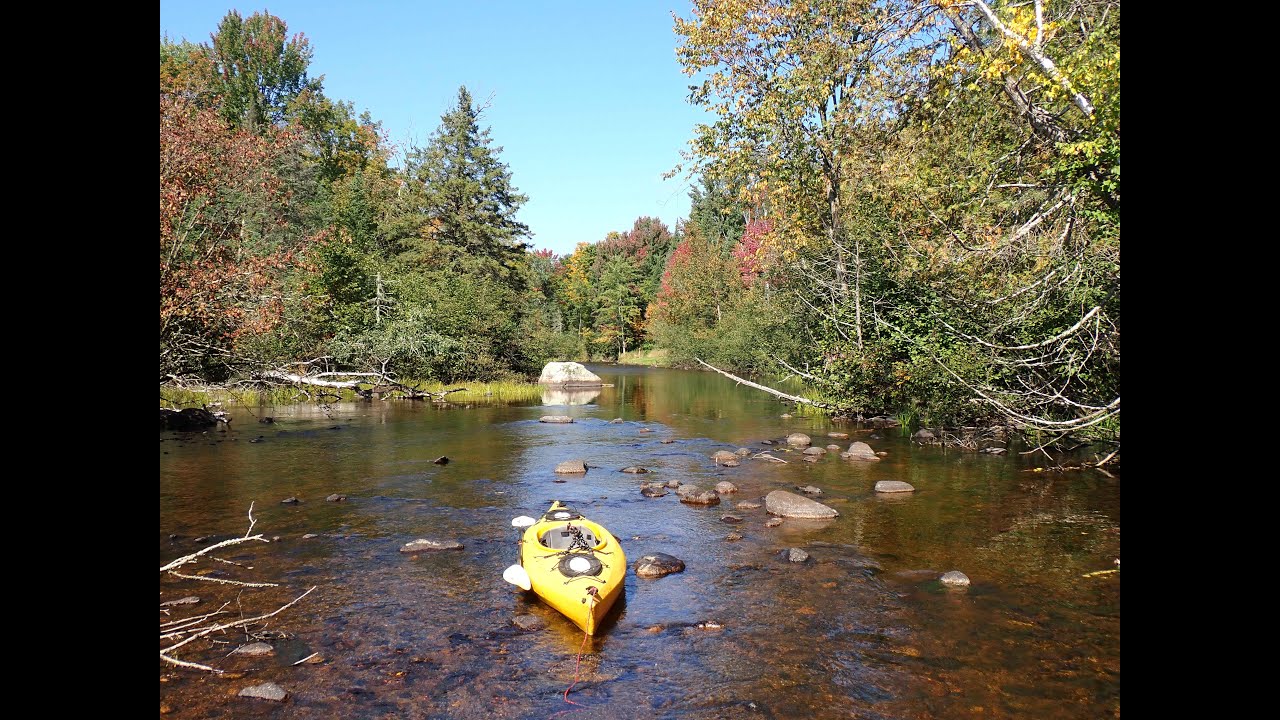 Kayaking the Lily River