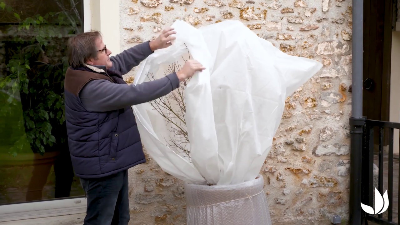 Prot&eacute;ger les plantes en hiver : voile d'hivernage pour plantes en pot - Truffaut