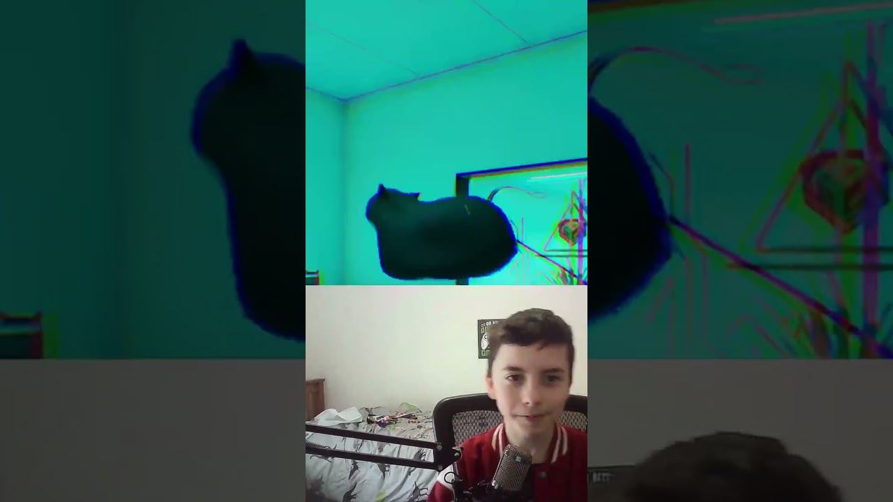 Twisted Gallery GamePlay Cat Dance Shorts.