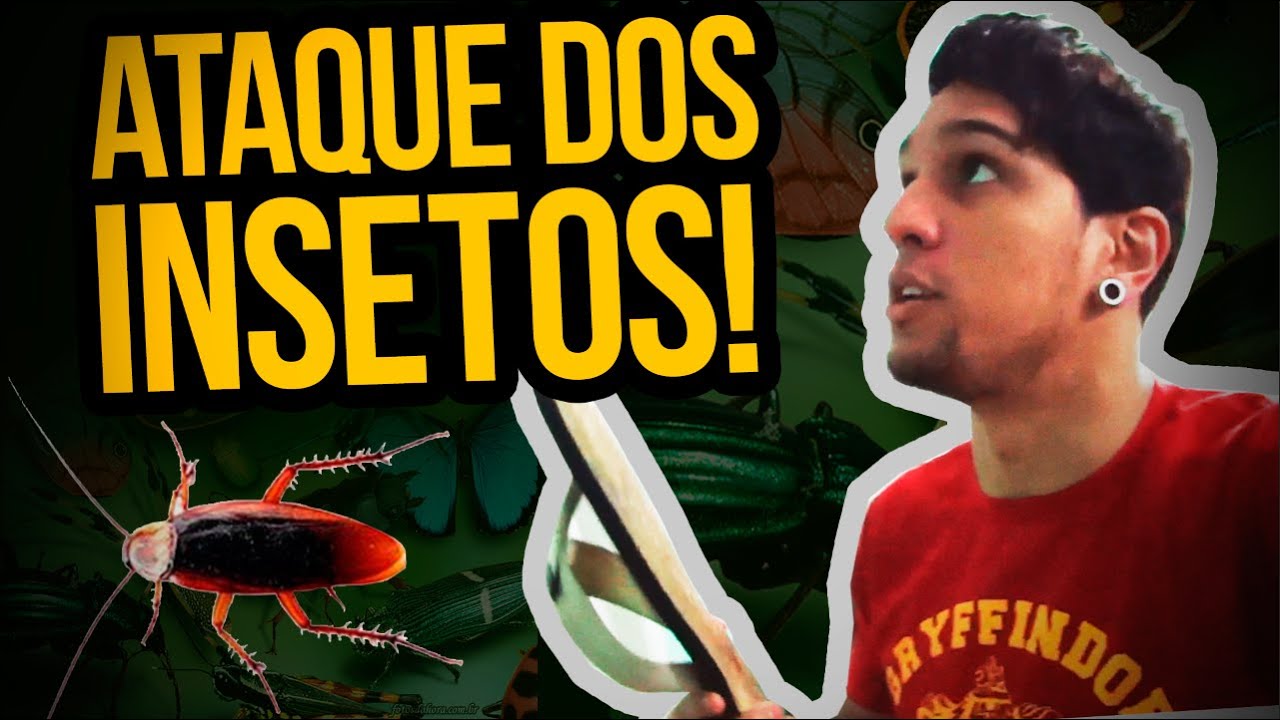 O ATAQUE DOS INSETOS!