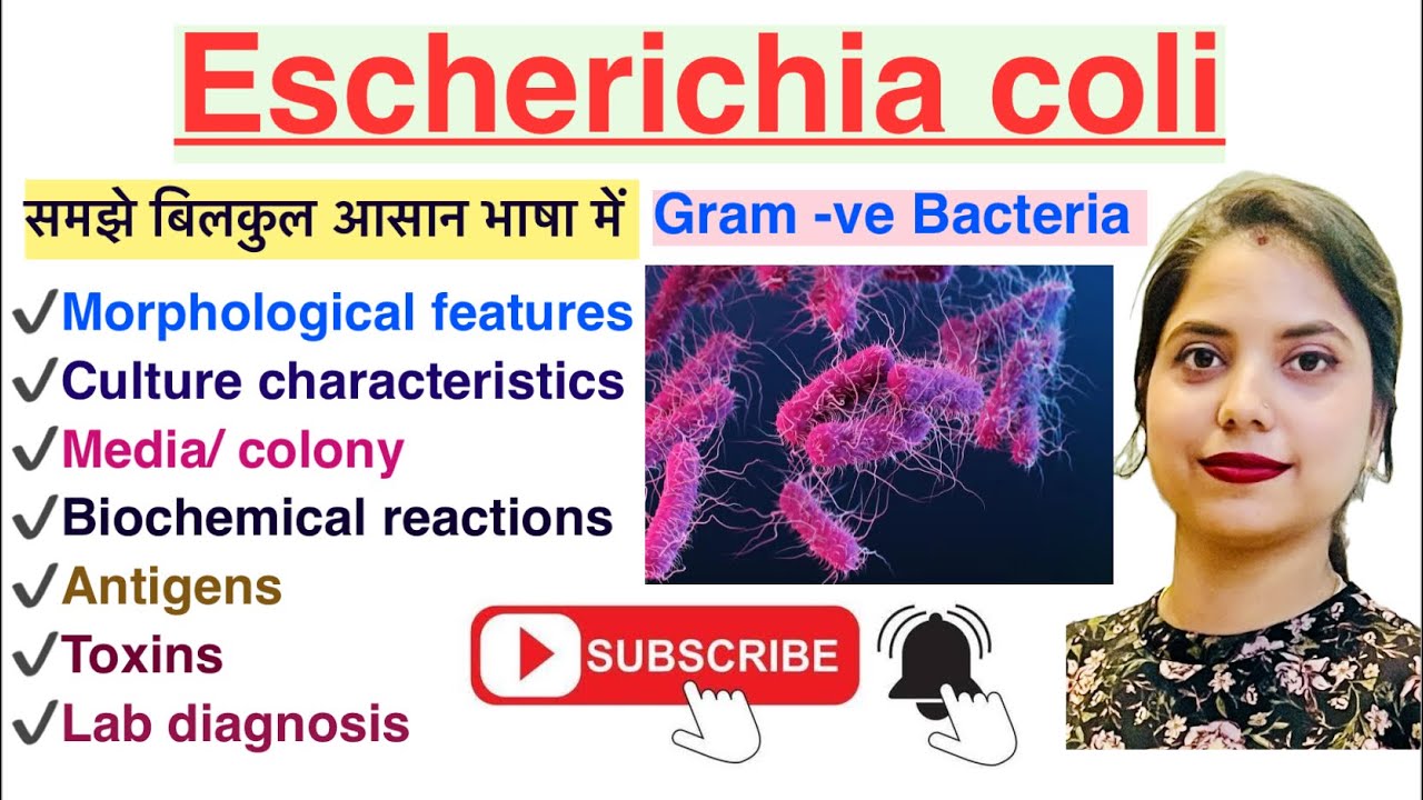Escherichia coli in Hindi | Lab diagnosis | Pathogenicity | MLT | Nursing | Pharmacy