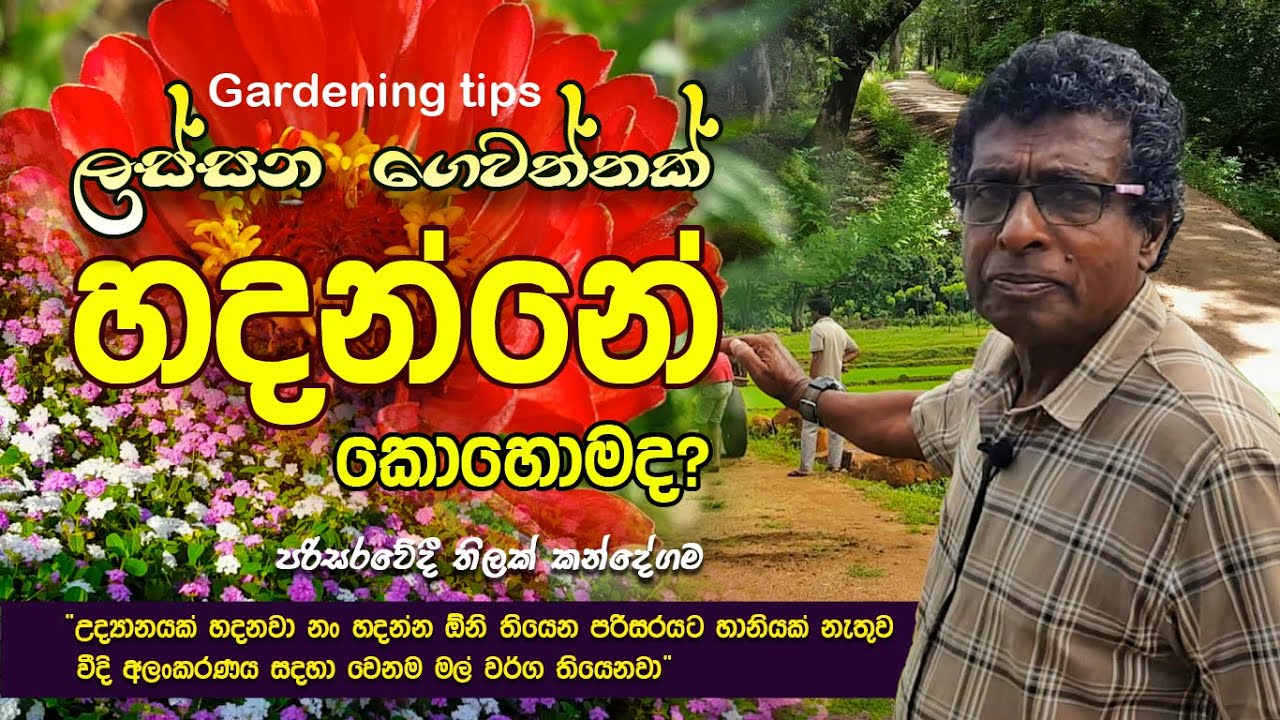 ලස්සන ගෙවත්තක් හදන්නේ කොහොමද? - තිලක් කන්දේගම / Gardening tips @ThilakKandegama