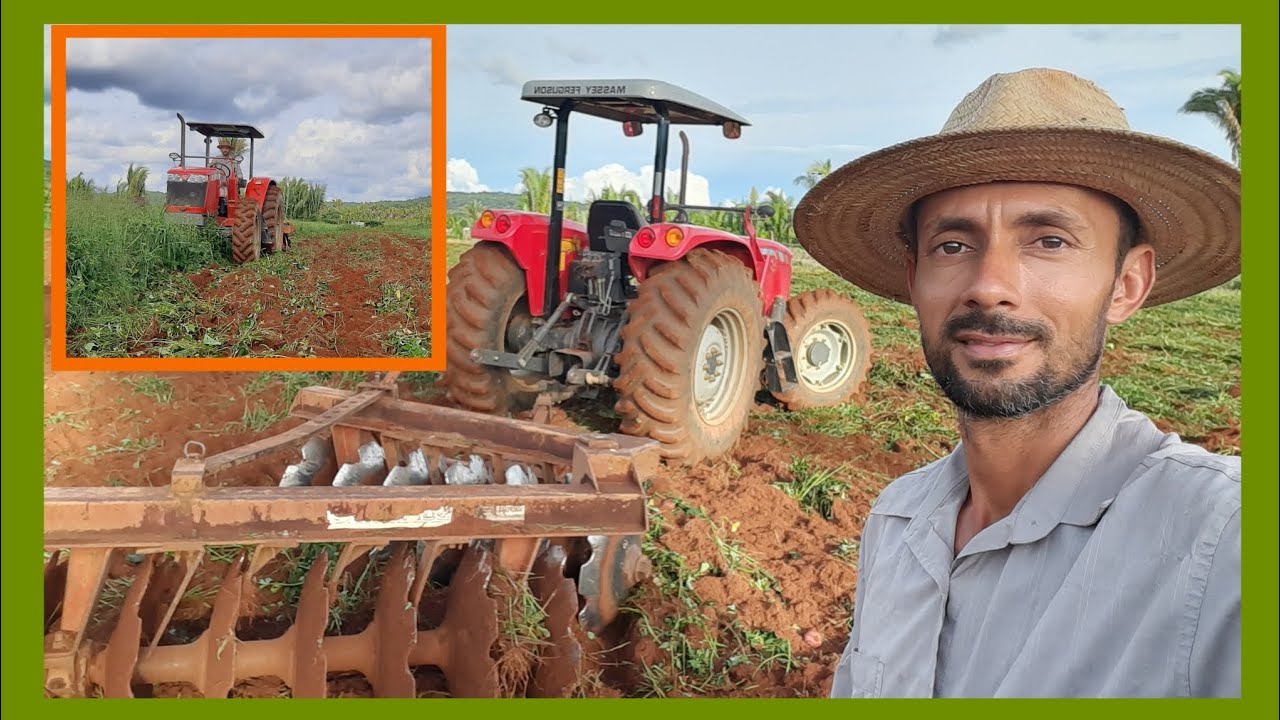 Arando a terra para plantar Pimentão e Beringela.