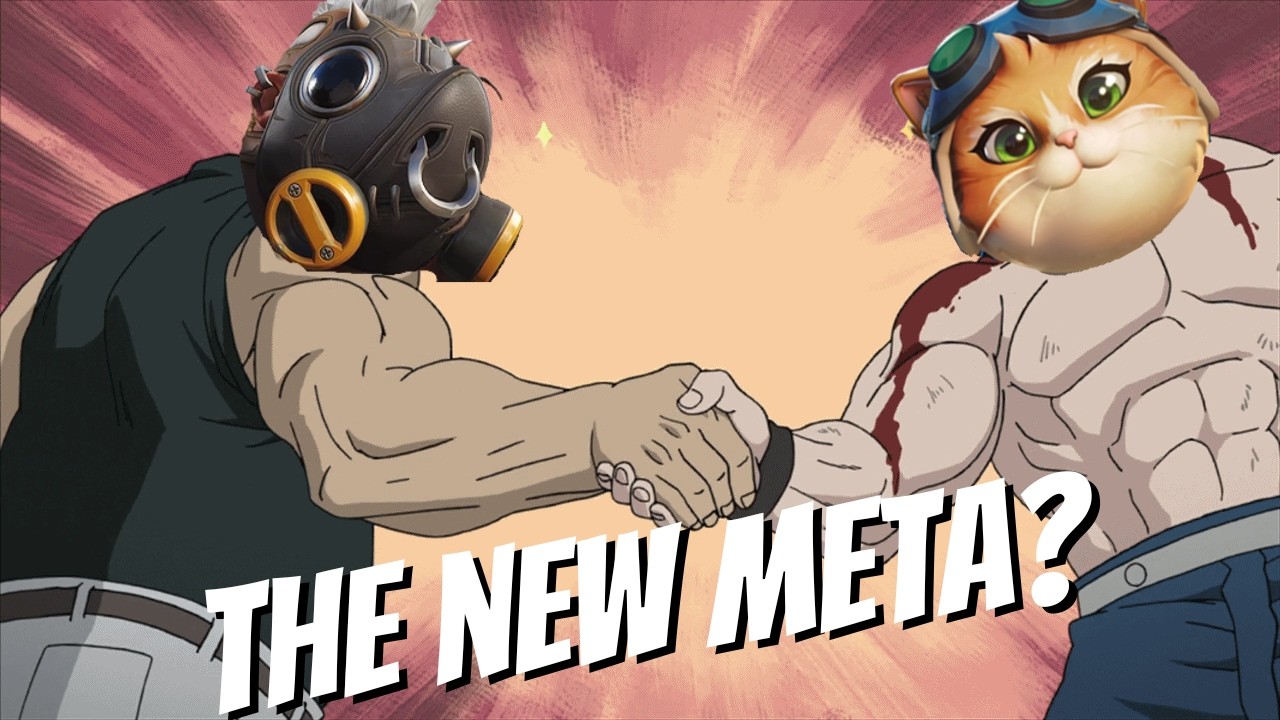 roadhog is TOO fun with jetpack cat