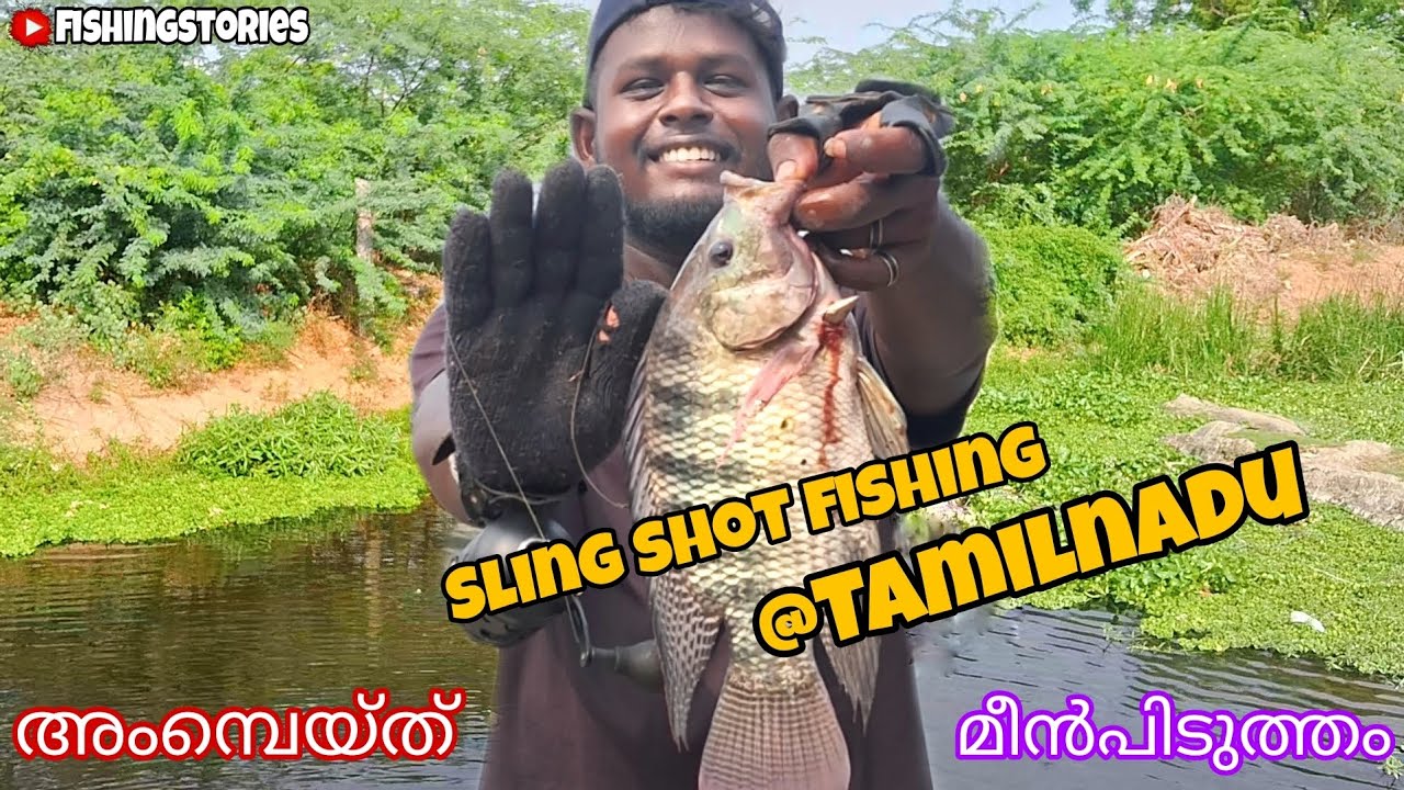 അംബെയ്ത് മീൻ പിടുത്തം😲😳🐬  | 𝗦𝗹𝗶𝗻𝗴 𝗦𝗵𝗼𝘁 𝗙𝗶𝘀𝗵𝗶𝗻𝗴 | 𝗘𝗿𝗼𝗱𝗲 𝗧𝗮𝗺𝗶𝗹𝗻𝗮𝗱𝘂 | #fishing #slingshot #tamilnadu