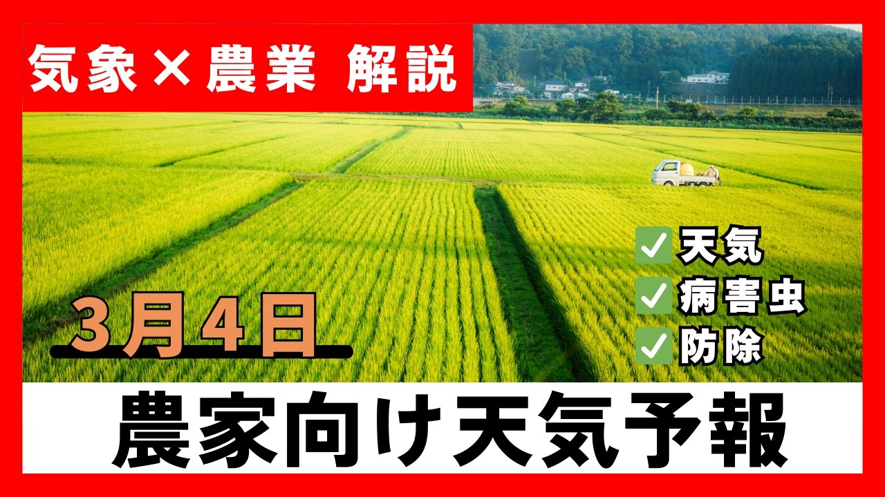 【週末以降雨/気温低下⇒病気発生注意】今後の気象と農業への影響　|3月4日