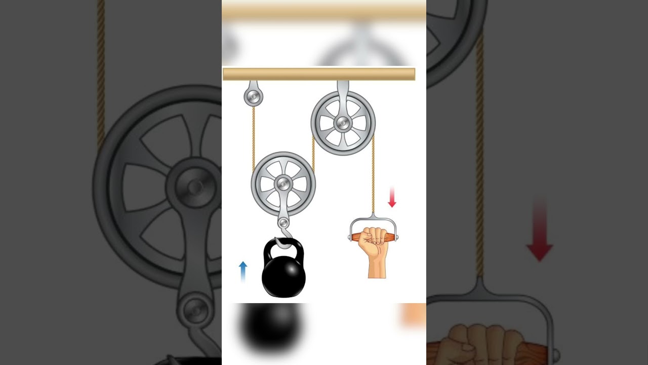 Pulley System Explained | Single Fixed, Single Free & Block and Tackle 