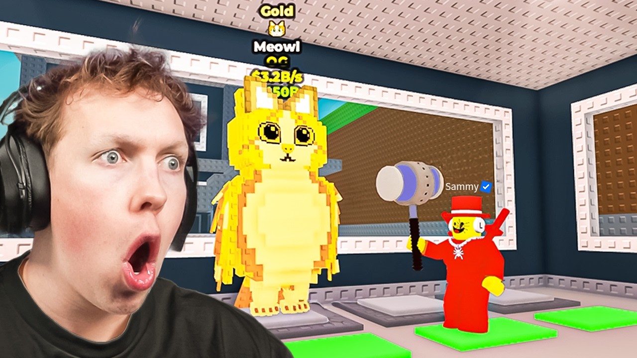TRADING FROM A NOOBINI TO A MEOWL (Real)