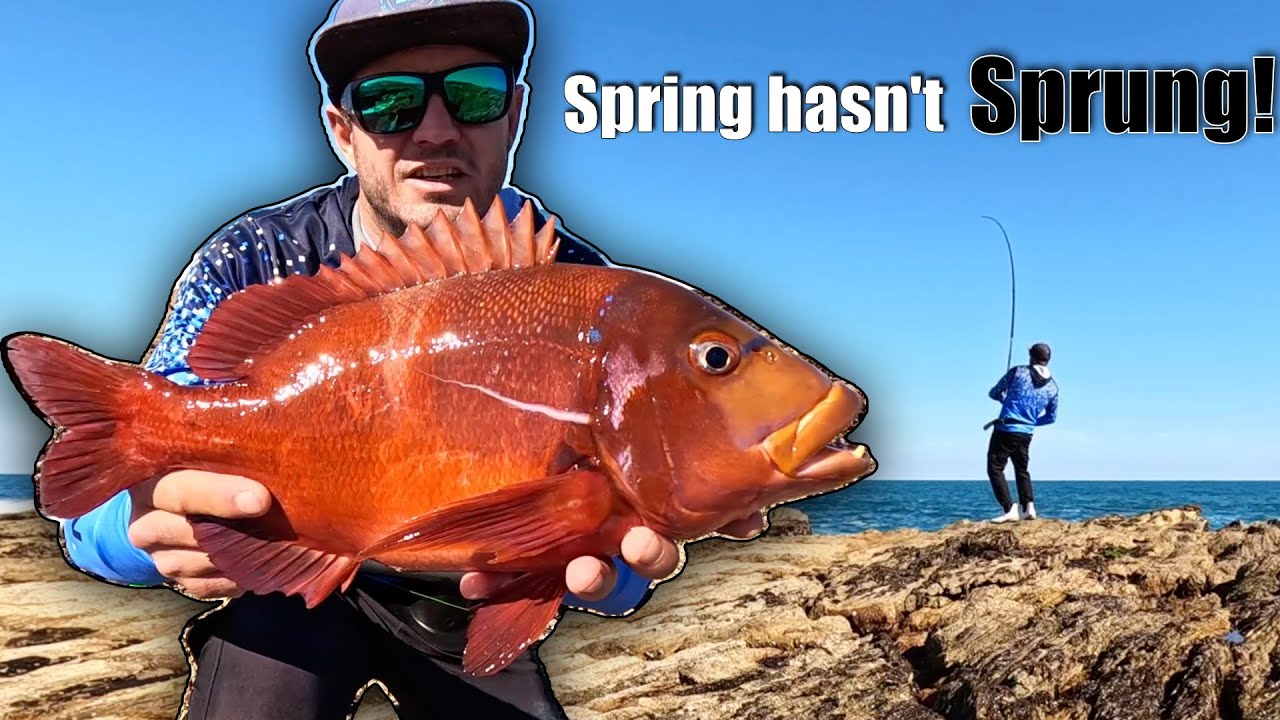 FROM FISHING ON THE ROCKS FOR RED ROMAN TO FISHING ON THE BEACH! I TRIED EVERYTHING!