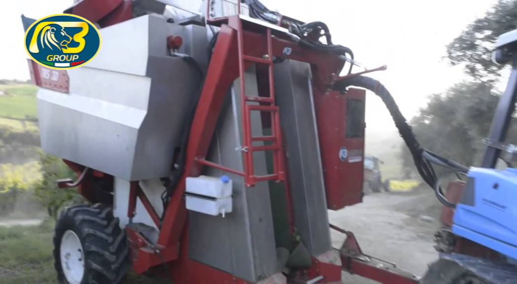 Bargam V-Train - Vendemmiatrice Trainata/ Trailed Grape Harvester