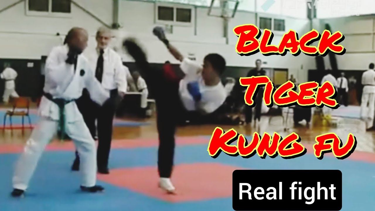 Real Kung Fu fight: EP 35/ Black tiger Kung fu vs karate/ it's about gong fu #kungfu #karate #fight