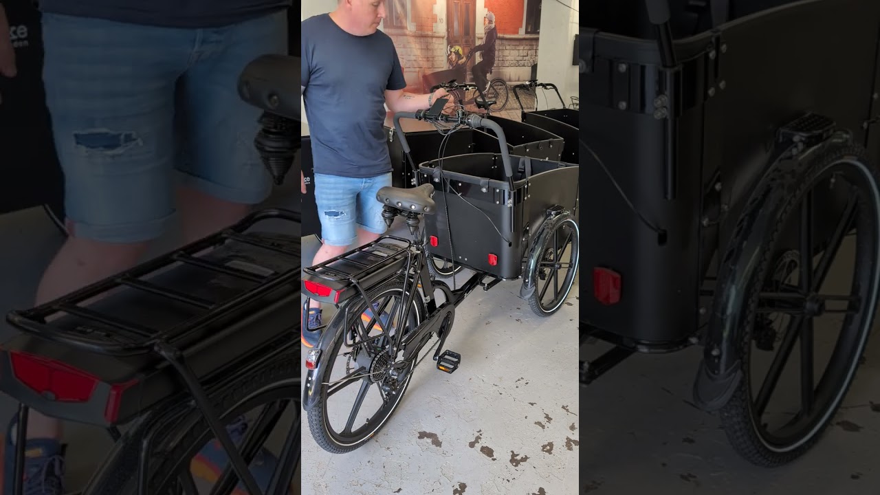 Felsökning av en Cargobike Flex som inte startar.