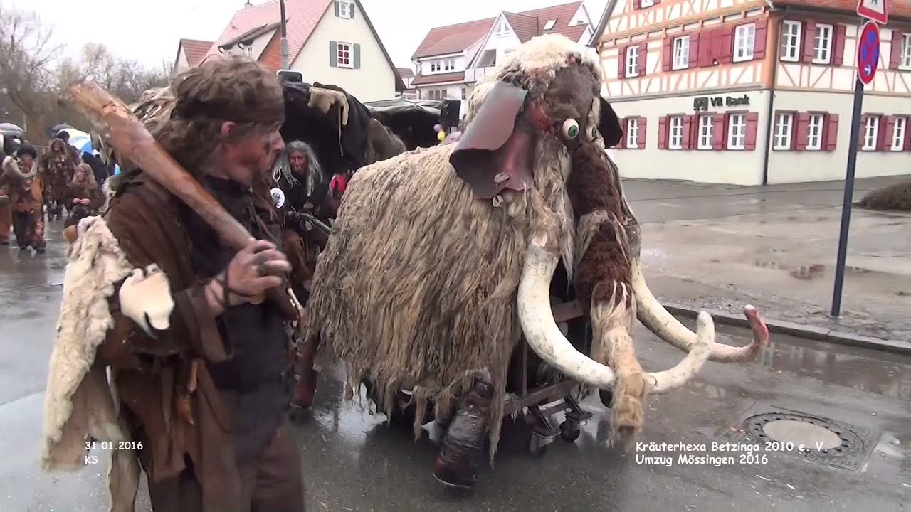 Fasnetsumzug Mössingen 2016 - Kräuterhexa Betzinga
