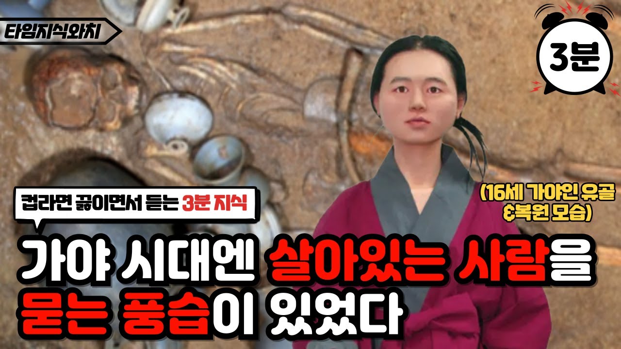 순장의 비밀! 고대 왕국의 잔혹한 장례 문화 l 컵라면 끓이면서 듣는 3분지식 #역사 #지식  #킬링타임