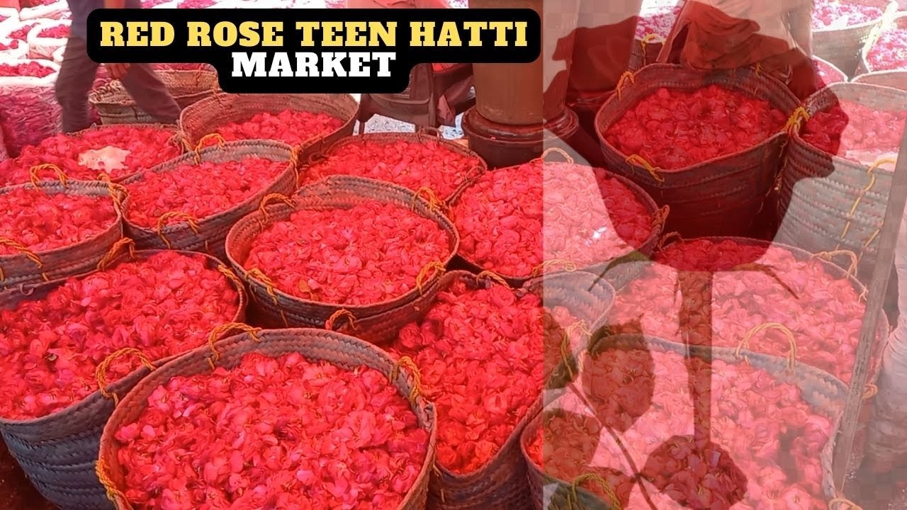 Teen Hatti Shabe Barat Flower Wholesale and Retail Market Phool Rates in Karachi