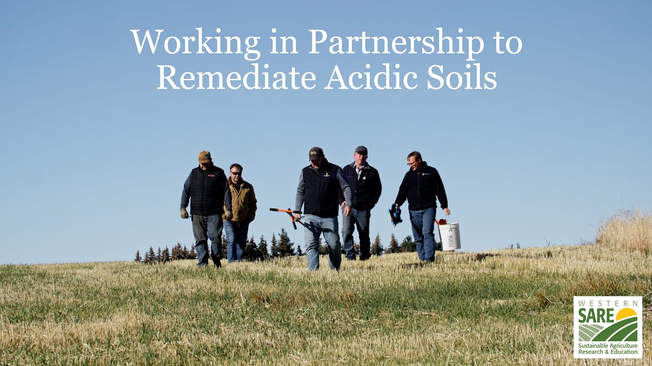 Working in Partnership to Remediate Acidic Soils