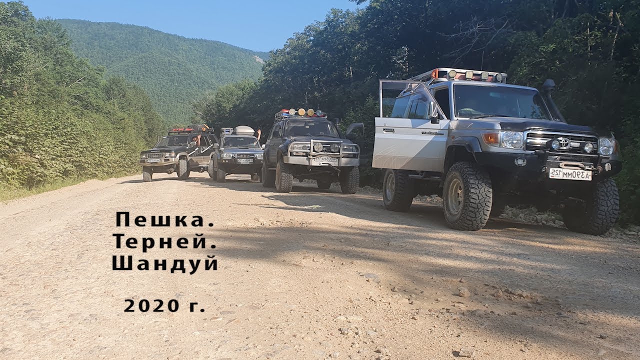 Пешка Терней Шандуй 2020
