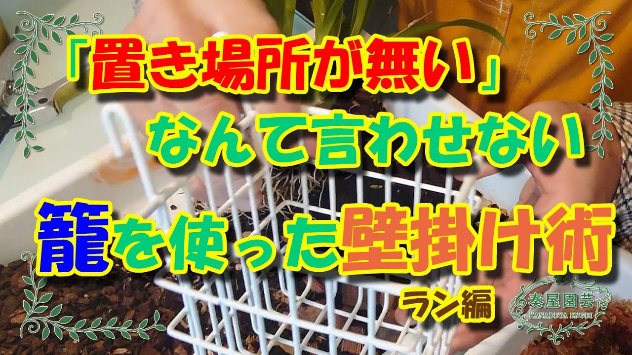 「置き場所が無い」なんて言わせない　籠を使った壁掛け術　ラン編