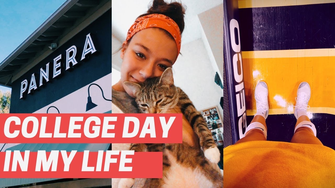 College Day In the Life: Student-Athlete Edition || classes, workouts, coffee & studying