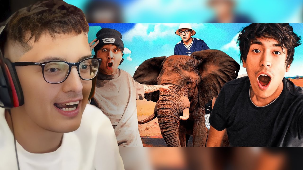 Reaccionando a PUVLO FUIMOS A AFRICA 🥵🐘🌍