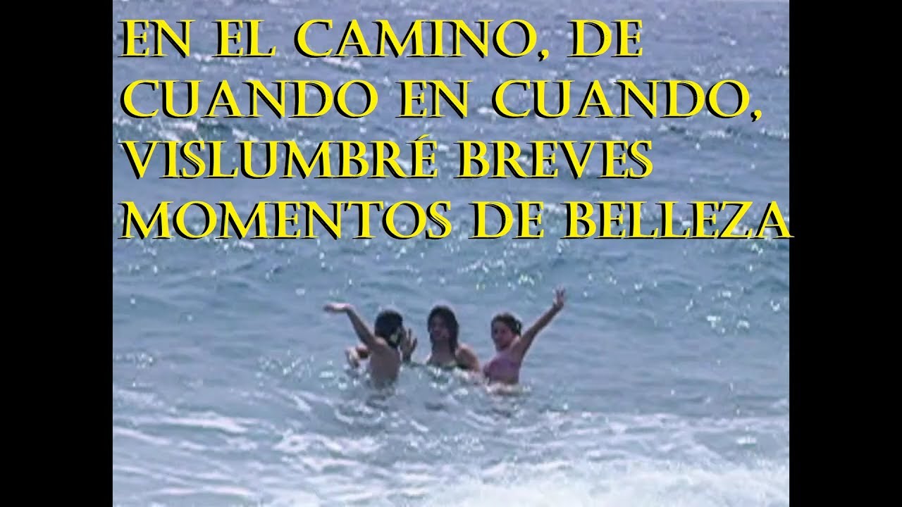 En El Camino, De Cuando En Cuando, Vislumbré Breves Momentos De Belleza
