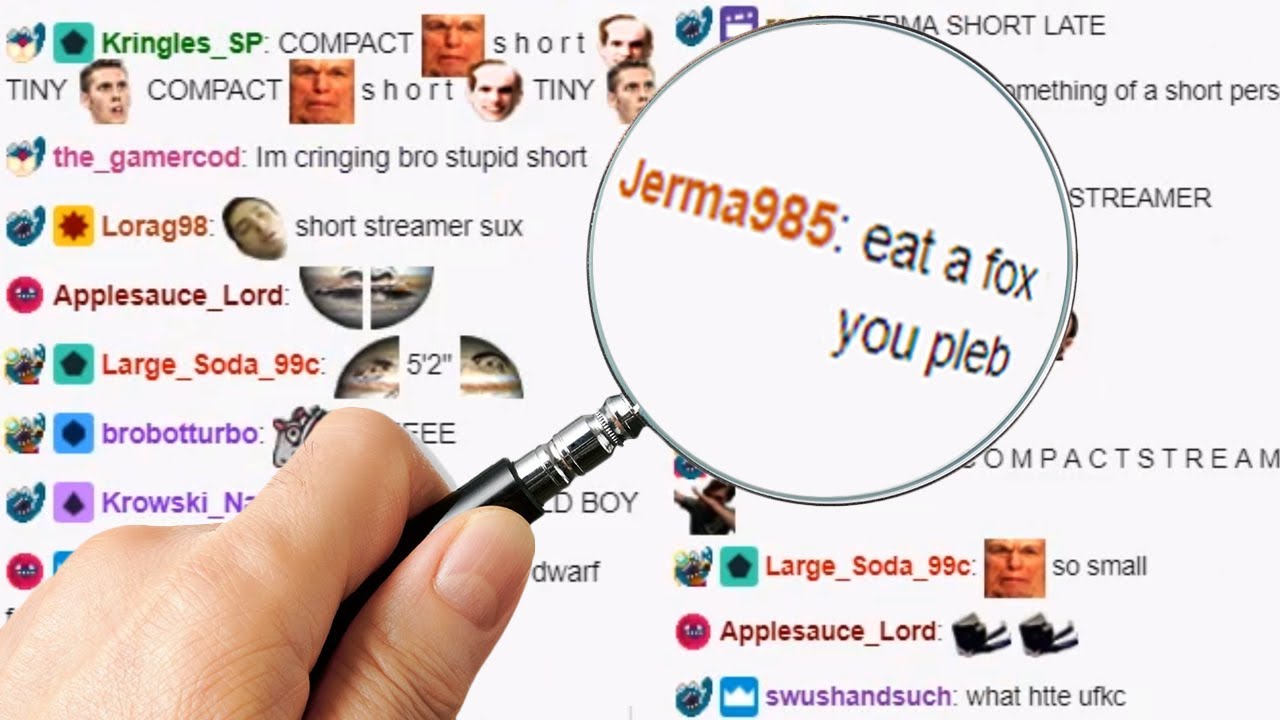 Twitch Detective