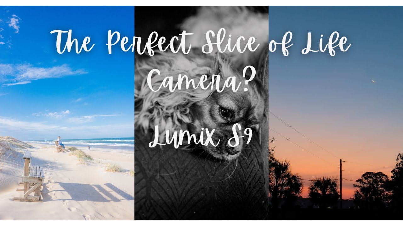 Is the Lumix S9 the perfect slice of life camera? (Lumix S9 long term review)